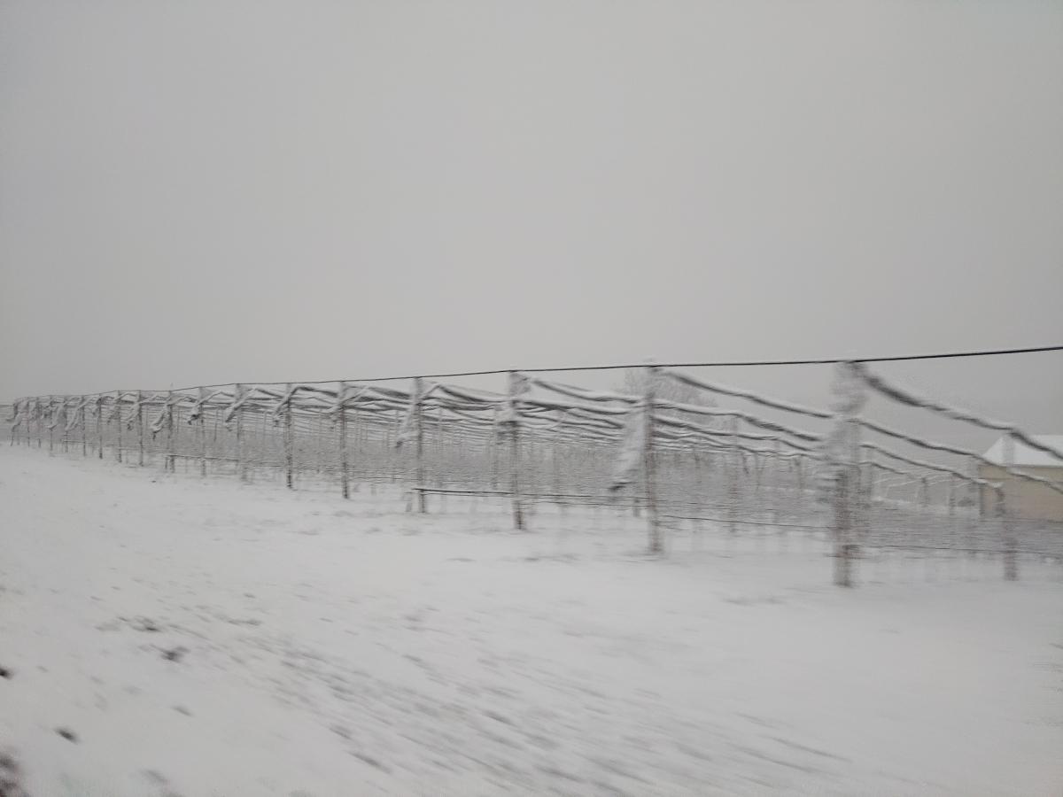 Des neiges tardives...