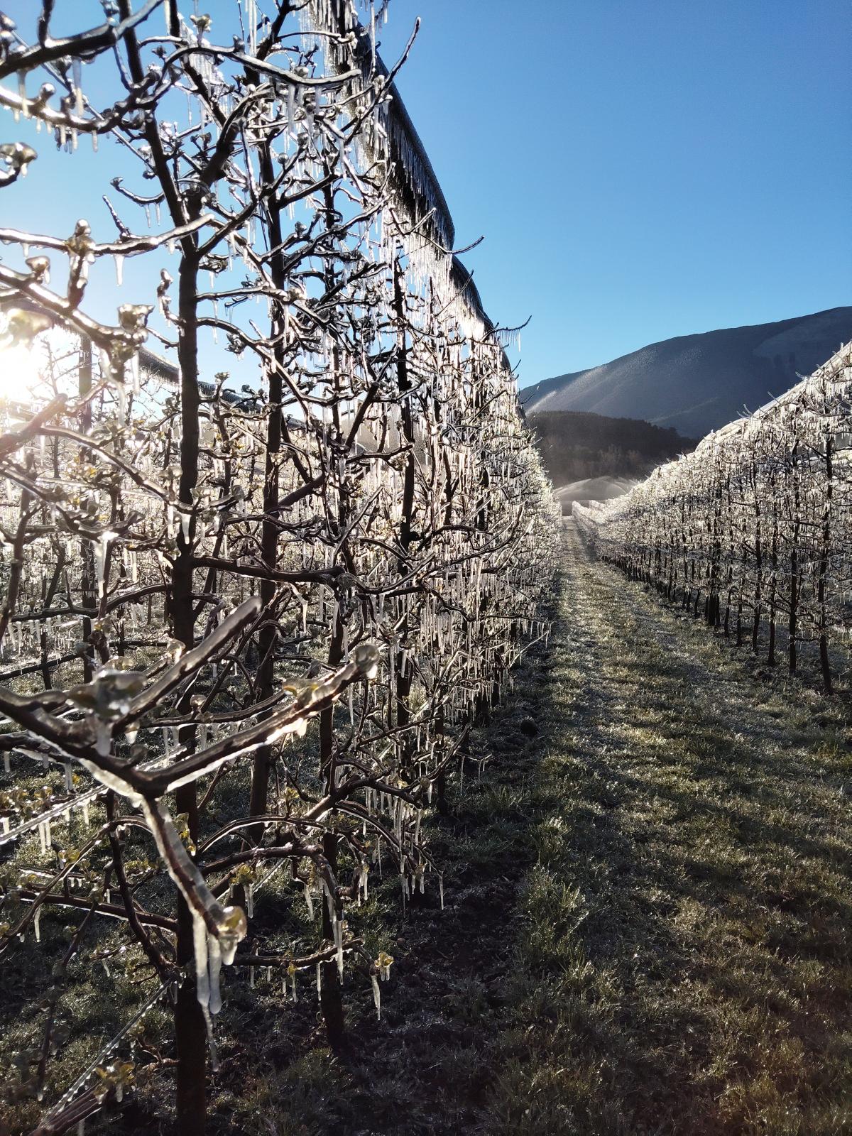 Des nuits compliqu&eacute;es! 