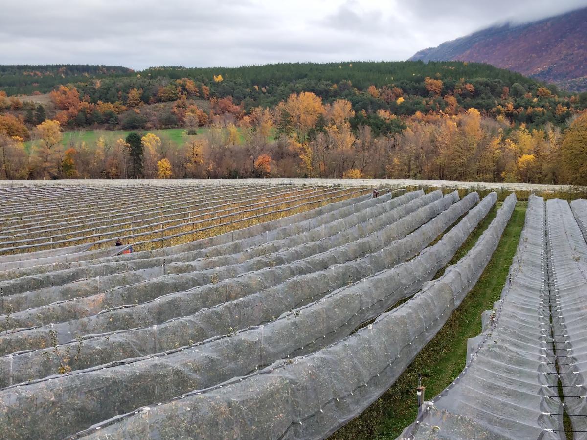 Les saisons défilent 