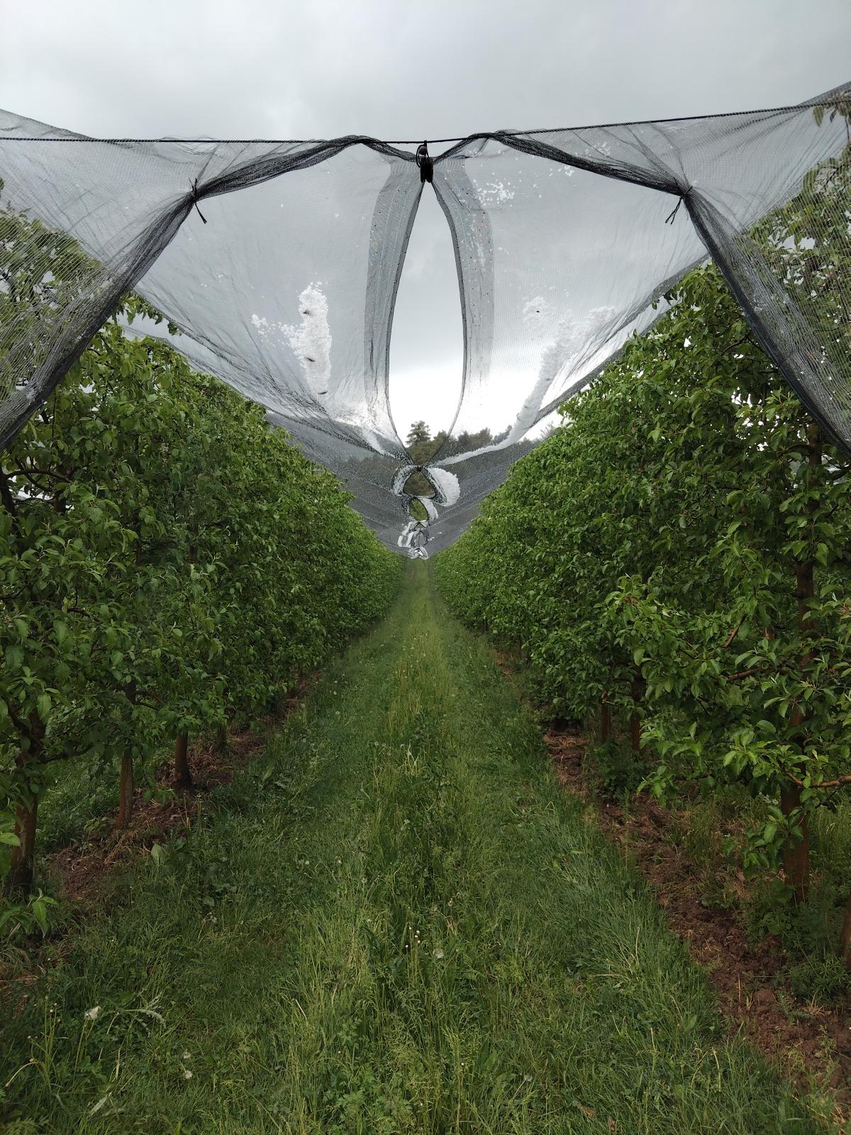 Un climat capricieux 